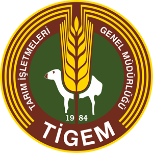 tigem